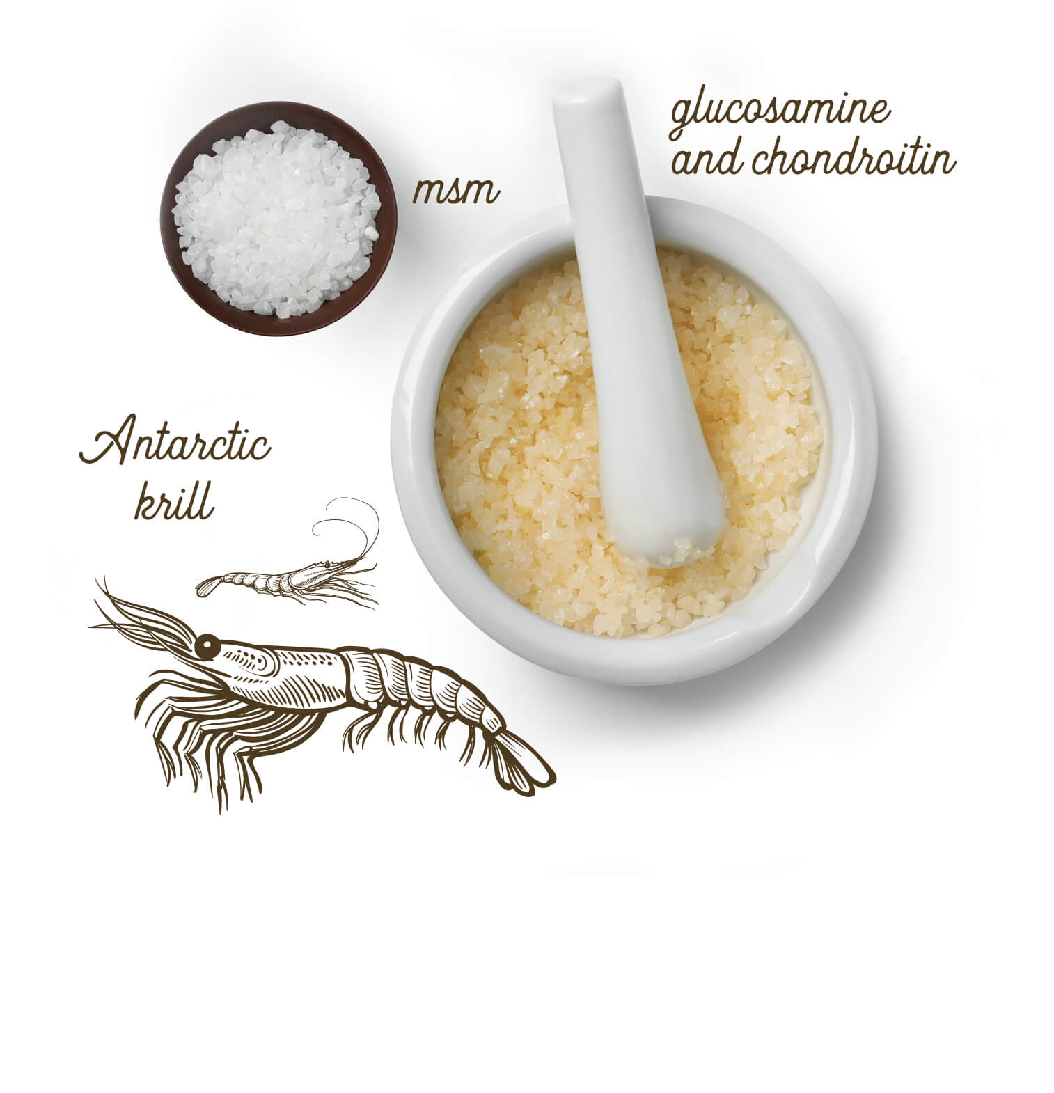 Hip & Joint Supplement Grizzly Pet Products