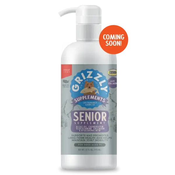 Senior Supplement