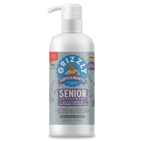 Senior Supplement